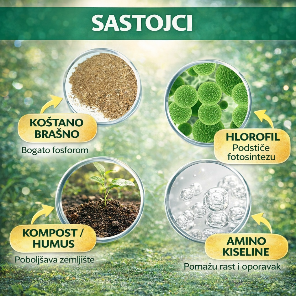 Easy Grow Root Booster Powder